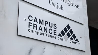 QUEL PARCOURS PROFESSIONNEL POUR LES ÉTUDIANTS INTERNATIONAUX FORMÉS EN FRANCE 